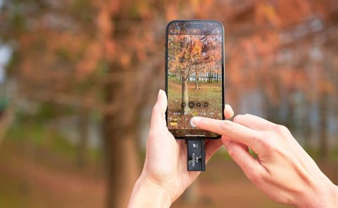 Adata Dysk Zewnętrzny SSD SC730 512G USB 3.2C/A 600/600MB/s czarny ADATA