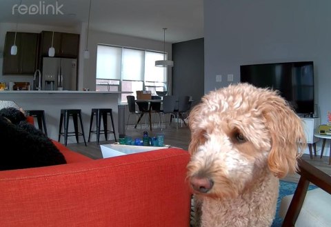 Kamera IP Reolink E340 wewnętrzna obrotowa 8MPx WiFi biała REOLINK