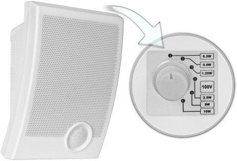 Głośnik Ścienny HQM-NPZ1016 HQM