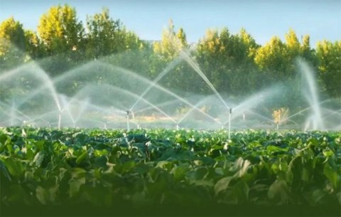 Inteligentny zawór/licznik wody ZigBee SONOFF SWV-BSP (3/4") SONOFF