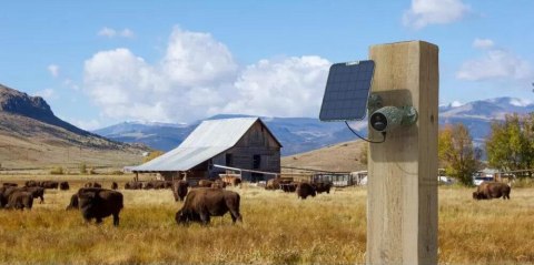 Kamera IP Reolink GO Series G330 4G LTE USB-C z akumulatorem camouflage REOLINK