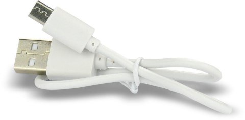 Akumulatorek 16340 / R-CR123 3,7V everActive 700mAh (1 szt.) z zabezpieczeniem EVERACTIVE