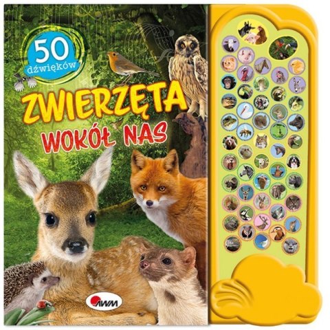 50 dźwięk. zwierzęta wokół nas AWM WYDAWNICTWO