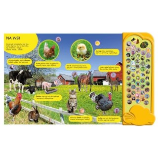 50 dźwięk. zwierzęta wokół nas AWM WYDAWNICTWO