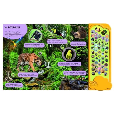 50 dźwięk. zwierzęta wokół nas AWM WYDAWNICTWO