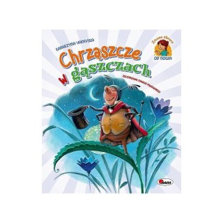 Chrząszcze w gąszczach AWM WYDAWNICTWO AWM WYDAWNICTWO