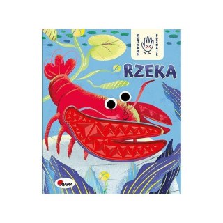 Dotykam poznaję rzeka AWM WYDAWNICTWO AWM WYDAWNICTWO