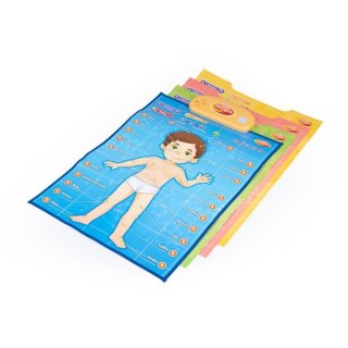 Edukacyjne plakaty człowiek DUMEL DUMEL