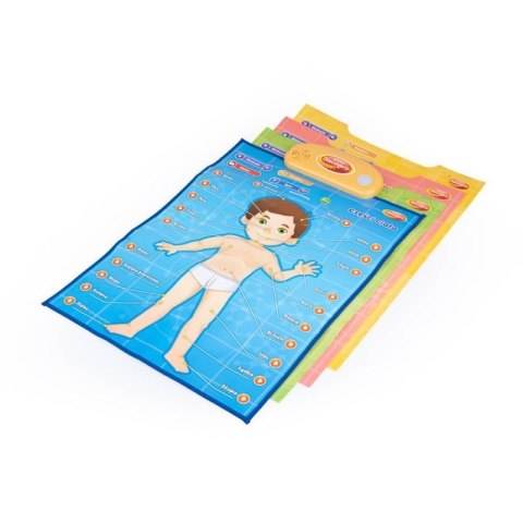 Edukacyjne plakaty człowiek DUMEL DUMEL