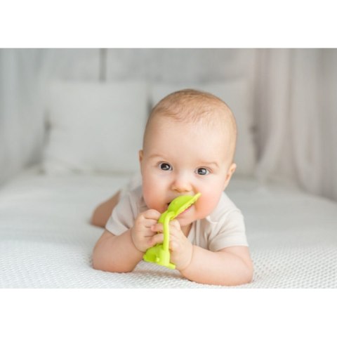 Gryz. usp. słoń limonka DUMEL GILIGUMS