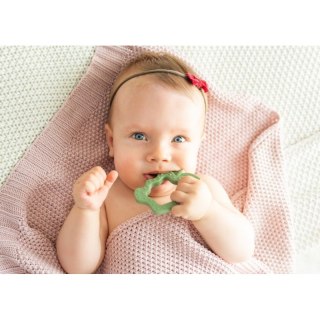 Gryzak jabłko GILIGUMS GILIGUMS