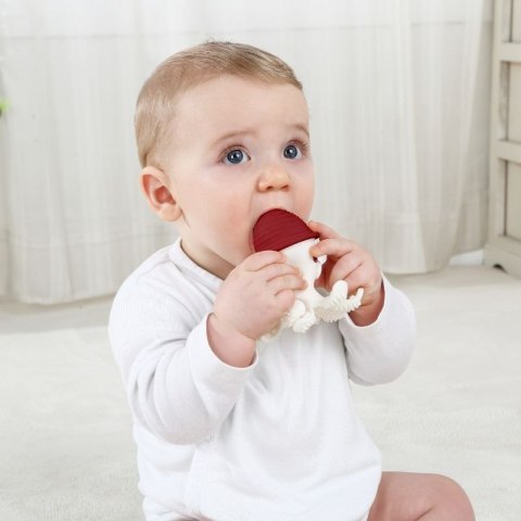 Gryzak ośmiornica curry MOMBELLA MOMBELLA