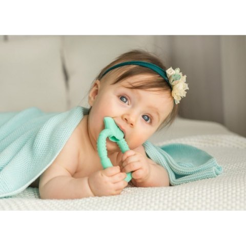 Gryzak sensor. kwiatek miętowy GILIGUMS GILIGUMS