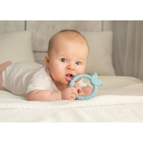 Gryzak sensor. kwiatek niebi. GILIGUMS GILIGUMS