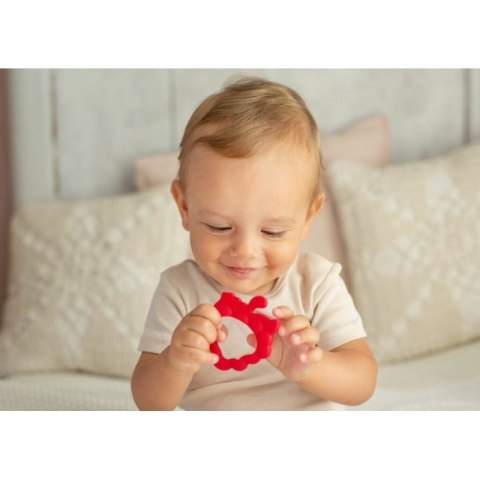 Gryzak truskawka GILIGUMS GILIGUMS