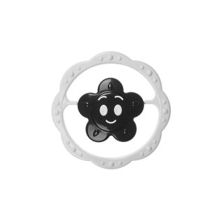 Grzechotka czarno-biała kwiat. AM TULLO AM TULLO