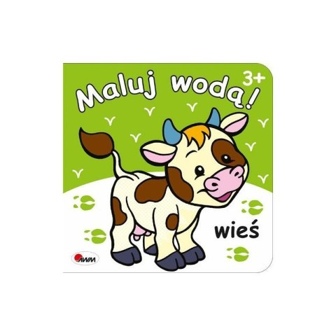 Maluj wodą wieś AWM WYDAWNICTWO AWM WYDAWNICTWO