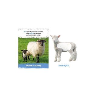 Milusińscy na wsi AWM WYDAWNICTWO