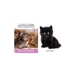 Milusińscy w domu AWM WYDAWNICTWO