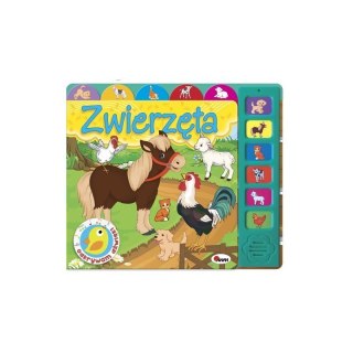 Odkrywam dźwięki zwierzęta AWM WYDAWNICTWO