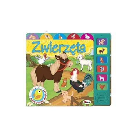 Odkrywam dźwięki zwierzęta AWM WYDAWNICTWO
