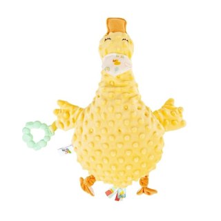 PRZYTULANKA KACZUSZKA DUMEL