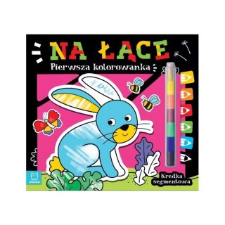 Pierwsza kolorowanka na łące AKSJOMAT AKSJOMAT