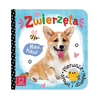 Pierwsze słowa dźwięki zwierz. AKSJOMAT AKSJOMAT