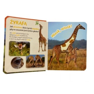 Pogłaszcz zwierzęta świata AWM WYDAWNICTWO AWM WYDAWNICTWO