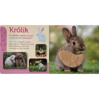 Przytul mnie pupile AWM WYDAWNICTWO