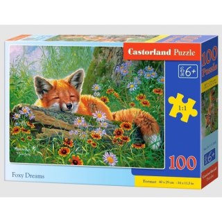 Puzzle 100 foxy dreams CASTOR CASTOR
