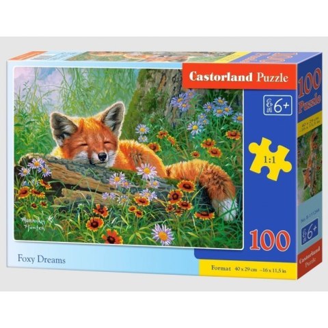 Puzzle 100 foxy dreams CASTOR CASTOR