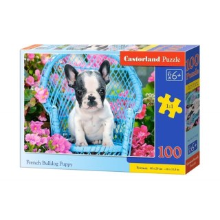 Puzzle 100 french bulldog pupy CASTOR CASTOR