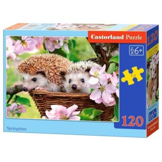 Puzzle 120el. springtime CASTOR CASTOR