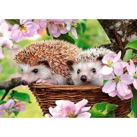 Puzzle 120el. springtime CASTOR CASTOR