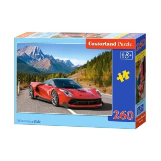 Puzzle 260 el. mountain ride CASTOR CASTOR