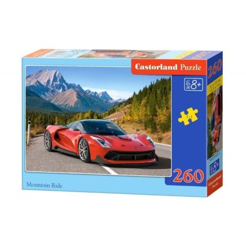 Puzzle 260 el. mountain ride CASTOR CASTOR