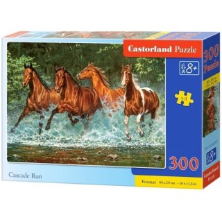 Puzzle cascade run 300 CASTOR CASTOR