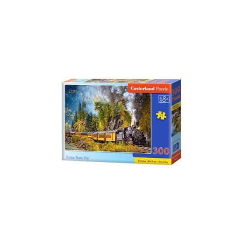 Puzzle steam train trip 300 CASTOR CASTOR