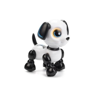 Robo heads up puppy DUMEL DUMEL