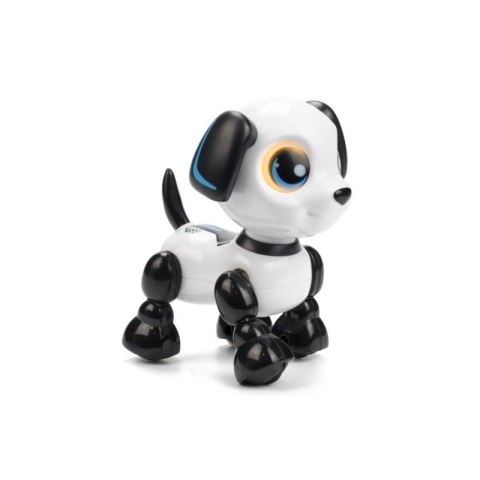 Robo heads up puppy DUMEL DUMEL