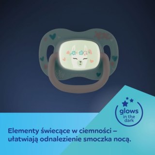 Smoczek sil. sym. 0-6m koala CANPOL BABIES CANPOL BABIES