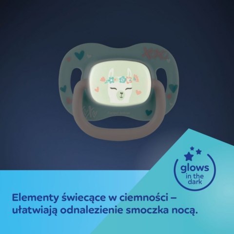 Smoczek sil. sym. 0-6m koala CANPOL BABIES CANPOL BABIES