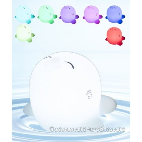 Świetlaczek fokusia mm052 MESCOMP MESCOMP