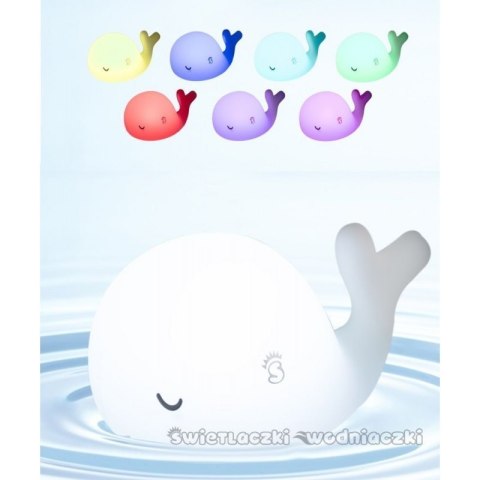 Świetlaczek wielorybcio mm053 MESCOMP