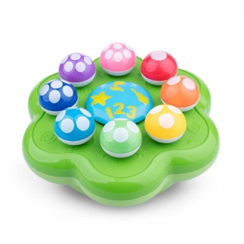 Symfonia grzybków DUMEL