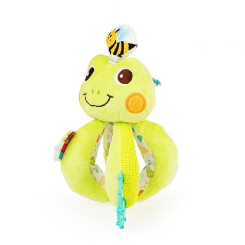 ZAKRĘCONA ŻABA DUMEL