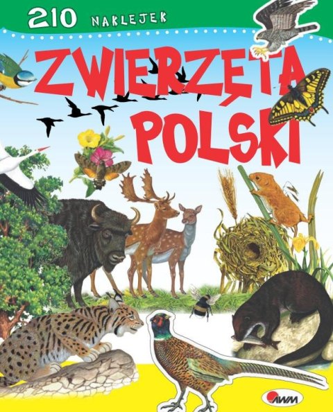 ZWIERZĘTA POLSKI + NAKLEJKI AWM WYDAWNICTWO