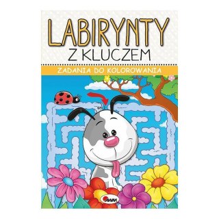 Zadania do kol. lab. z kluczem AWM WYDAWNICTWO AWM WYDAWNICTWO