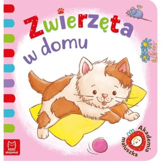 Zwierzęta w domu AKSJOMAT AKSJOMAT